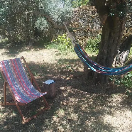 Casa Rustica Com Terraco E Jardim Aguas (Castelo Branco)