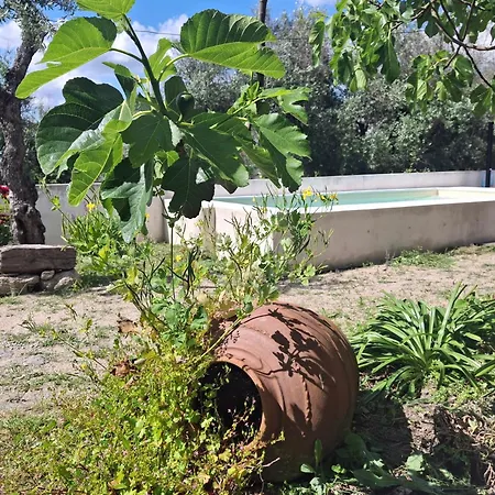 Casa Rustica Com Terraco E Jardim 度假居