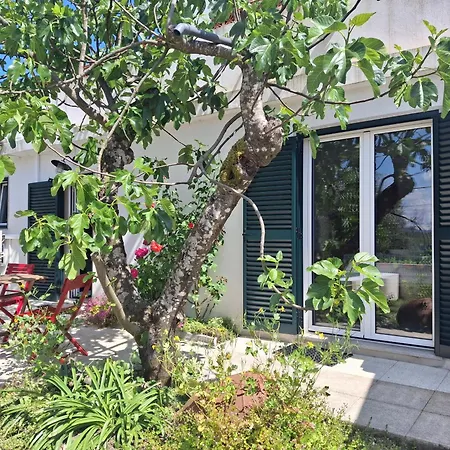 度假居 Casa Rustica Com Terraco E Jardim Aguas (Castelo Branco)