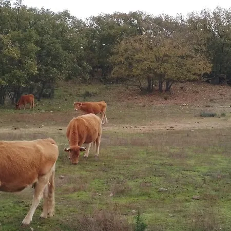 度假居 Casa Rustica Com Terraco E Jardim Aguas (Castelo Branco)