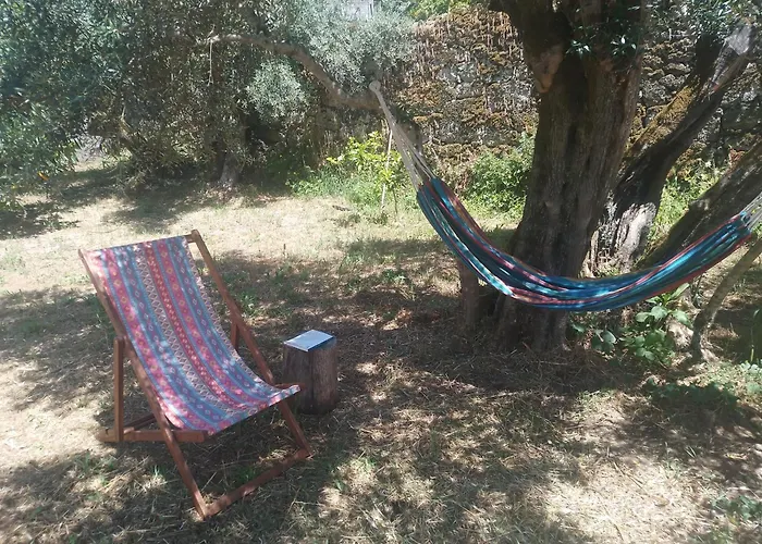Casa Rustica Com Terraco E Jardim Aguas (Castelo Branco)